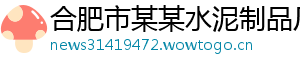 合肥市某某水泥制品厂